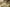 Promotion banner